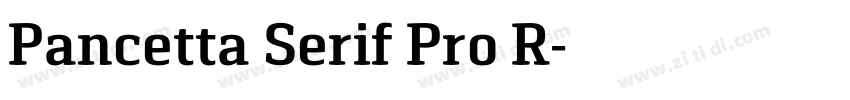 Pancetta Serif Pro R字体转换